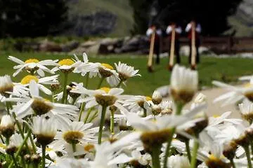 阿斯托里亚酒店 采尔马特